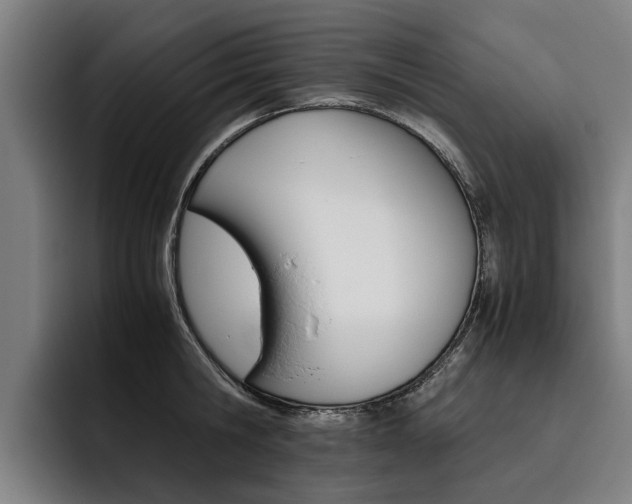 X0000093490806200710121012