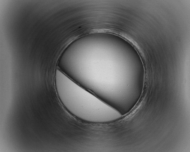 X0000093490809200710121012