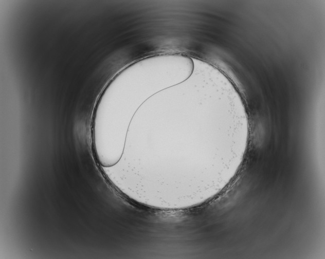 X0000093490810200710121012