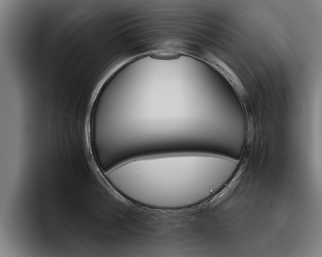 X0000093490812200710121012