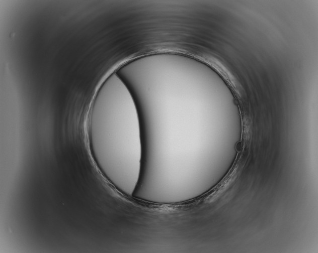 X0000093490814200710121012