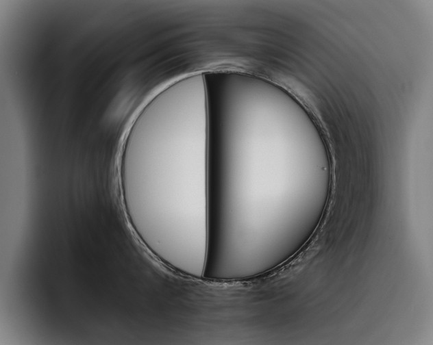X0000093490816200710121012