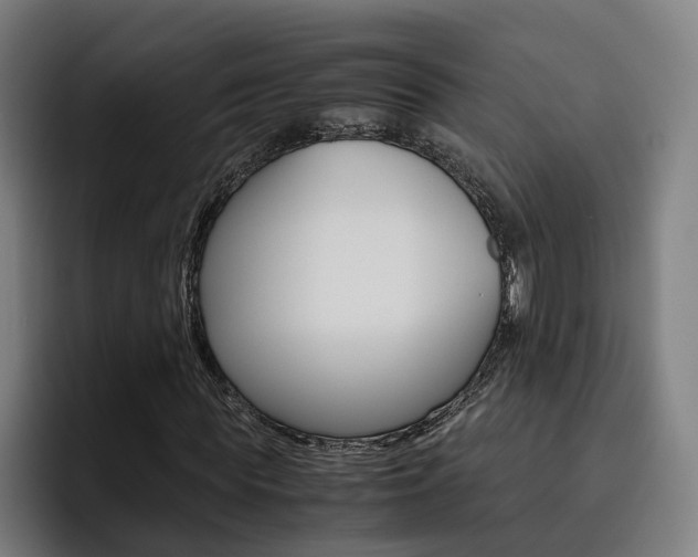 X0000093490819200710121011