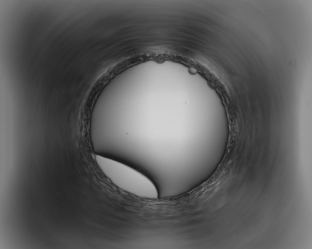 X0000093490823200710121011