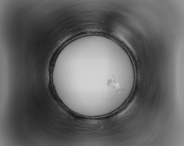 X0000093490829200710121011