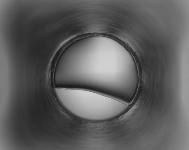 X0000093490830200710121011