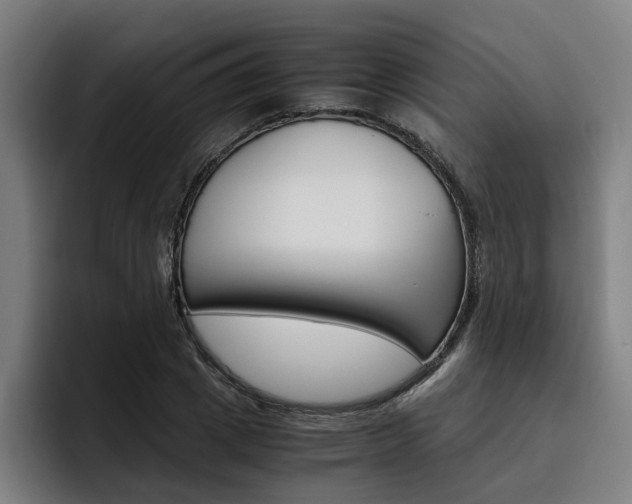 X0000093490833200710121011