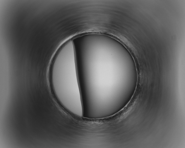 X0000093490838200710121011
