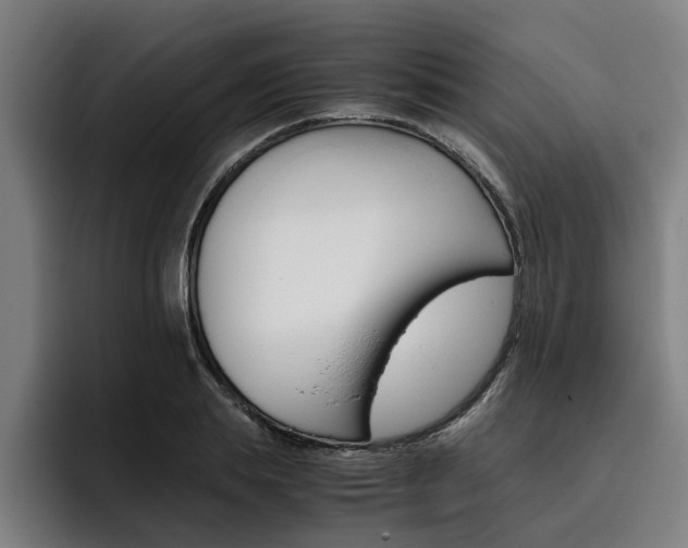 X0000093490839200710121011
