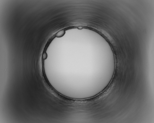 X0000093490840200710121011