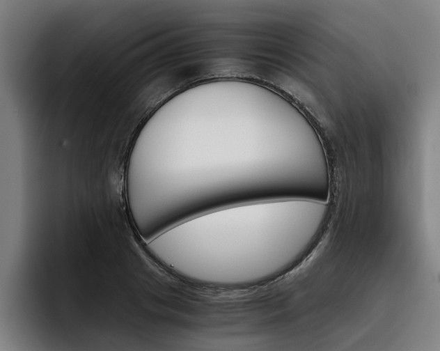 X0000093490841200710121011