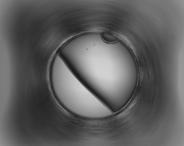 X0000093490843200710121011