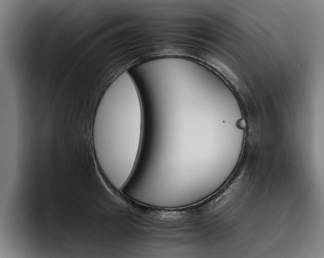 X0000093490849200710121011