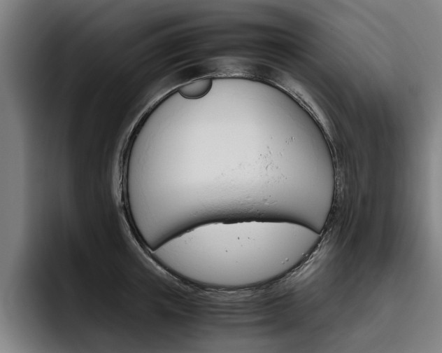 X0000093490851200710121011
