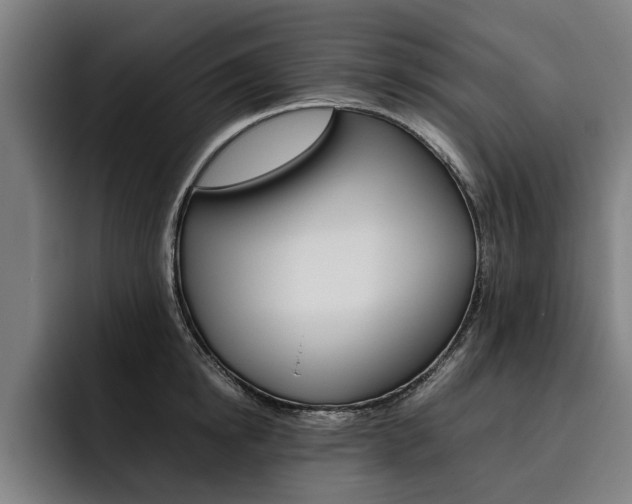 X0000093490854200710121011