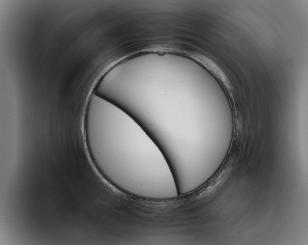 X0000093490855200710121011