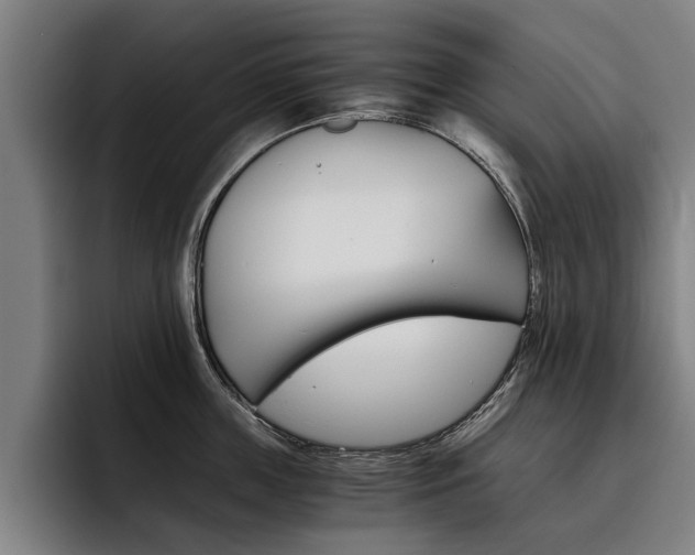 X0000093490859200710121011