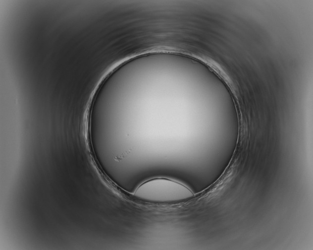 X0000093490862200710121012