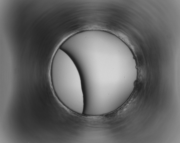 X0000093490863200710121012