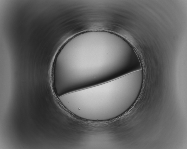 X0000093490864200710121012