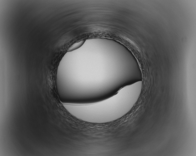 X0000093490869200710121011