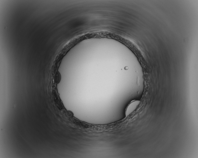 X0000093490871200710121011