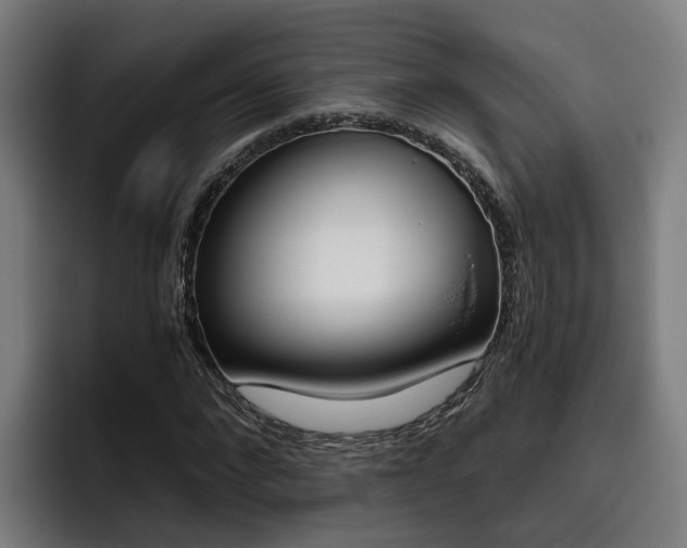 X0000093490872200710121011
