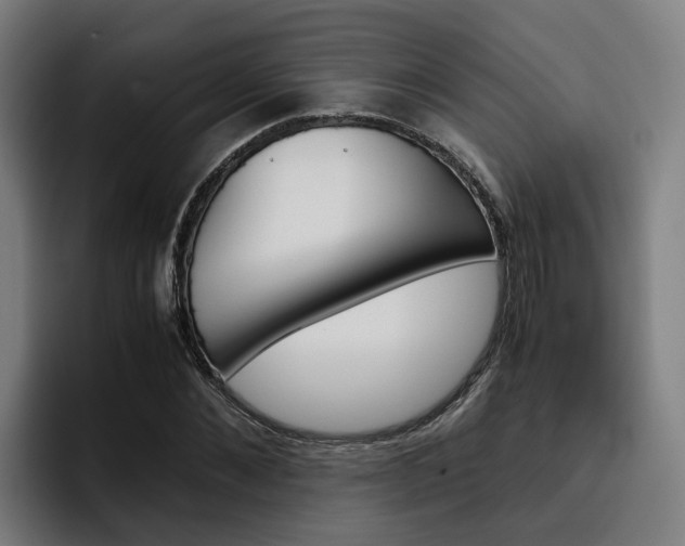 X0000093490876200710121011
