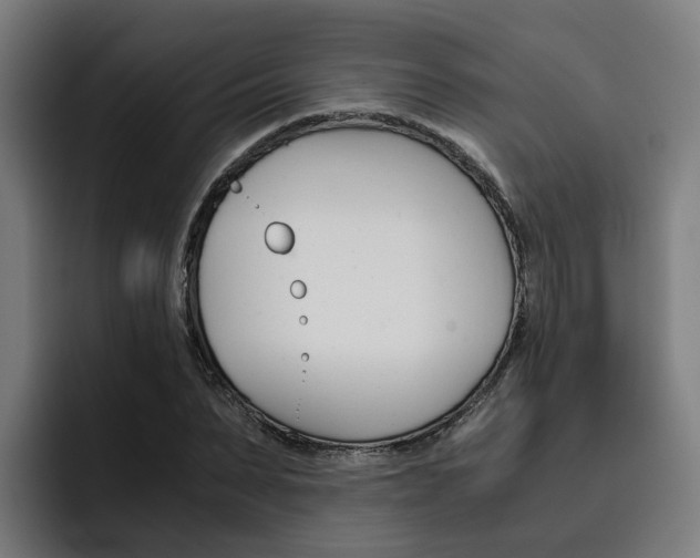 X0000093490879200710121011