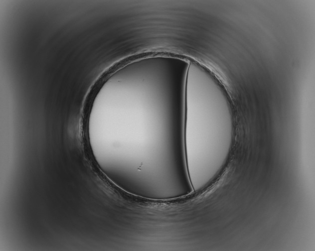 X0000093490880200710121011