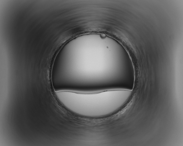 X0000093490881200710121011