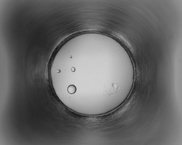 X0000093490883200710121011