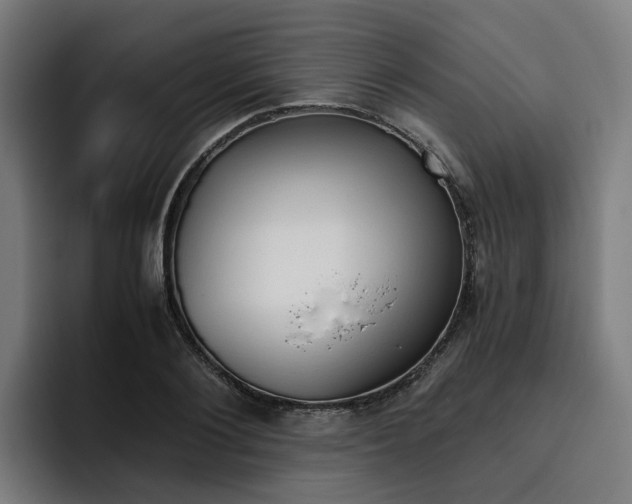 X0000093490884200710121011