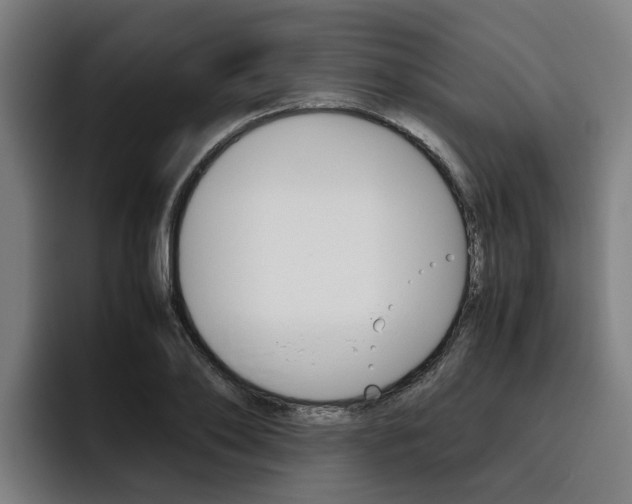 X0000093490886200710121011
