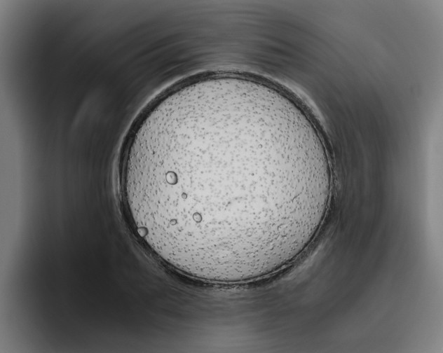 X0000093490887200710121011