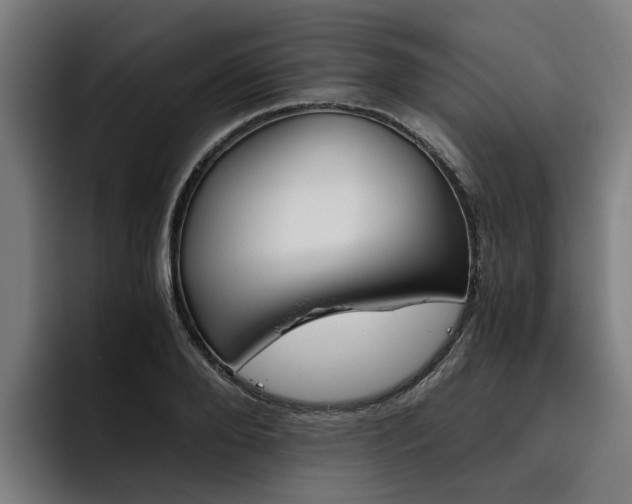 X0000093490888200710121011