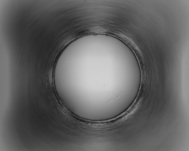 X0000093490889200710121011