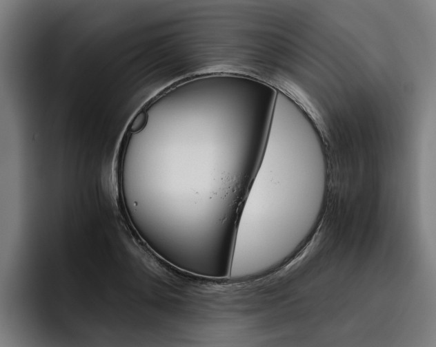 X0000093490892200710121011