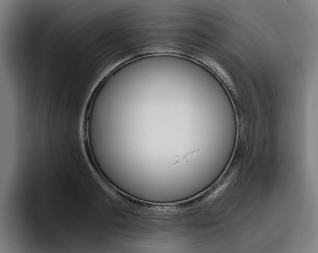 X0000093490893200710121011