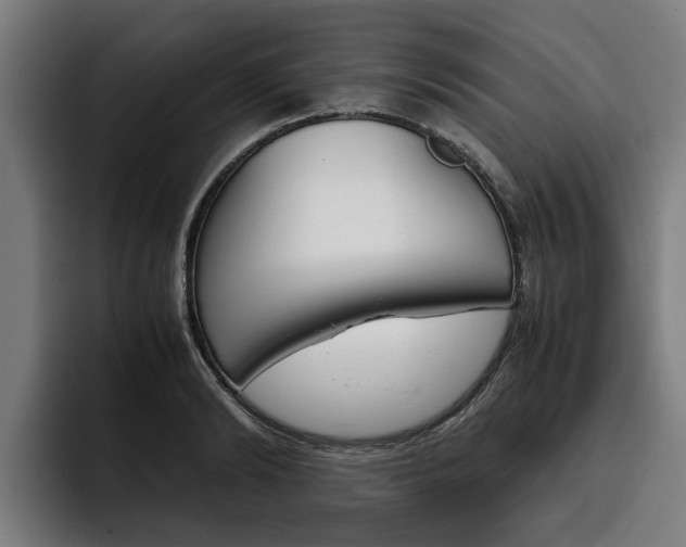 X0000093490894200710121011