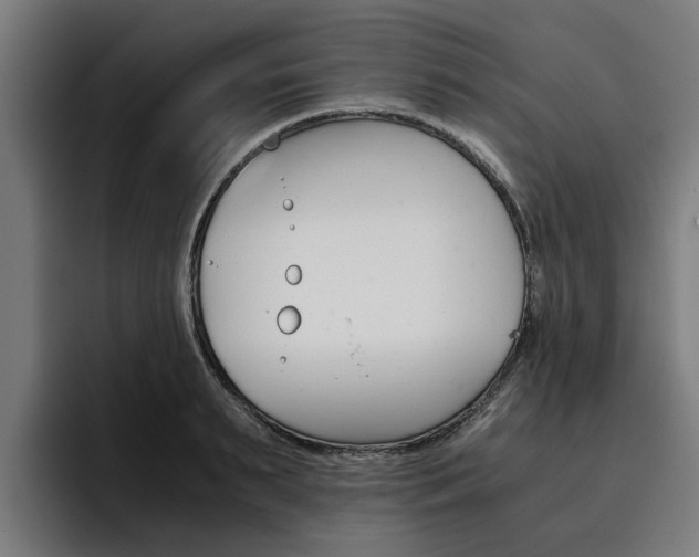 X0000093490895200710121011