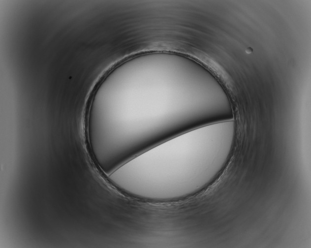 X0000093490896200710121011