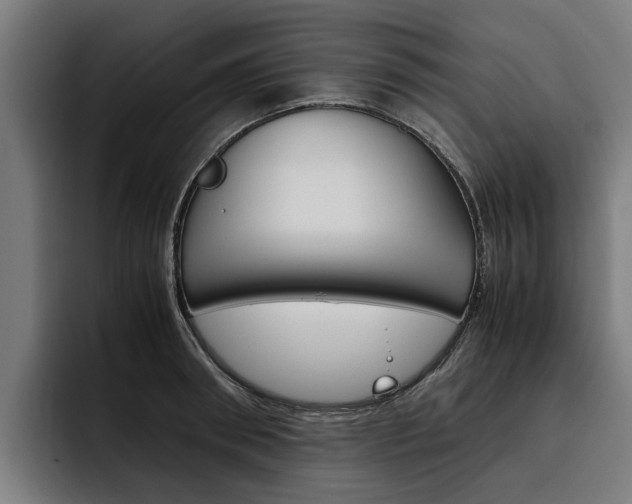 X0000093490898200710121011