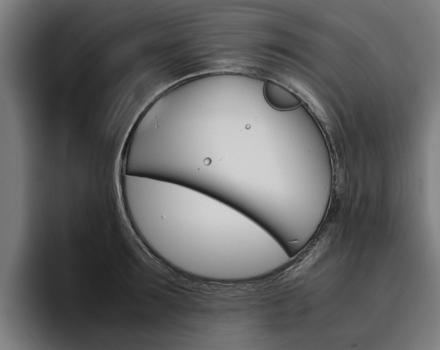 X0000093490899200710121011