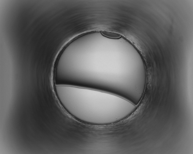 X0000093490904200710121011