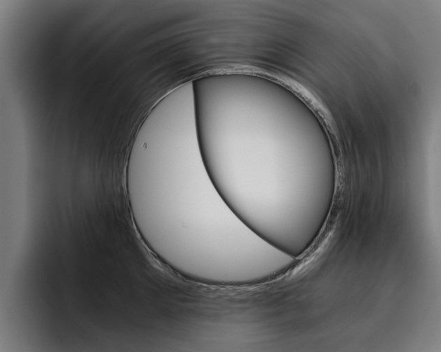 X0000093490905200710121011