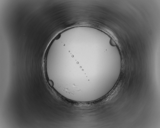 X0000093490907200710121010