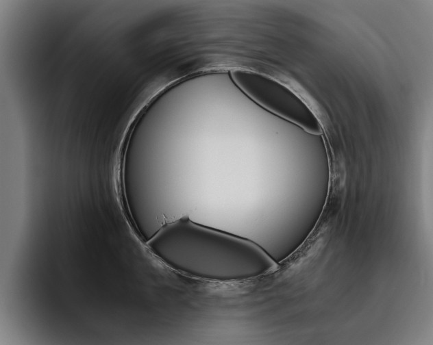 X0000093490909200710121010