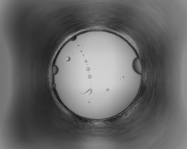 X0000093490911200710121010