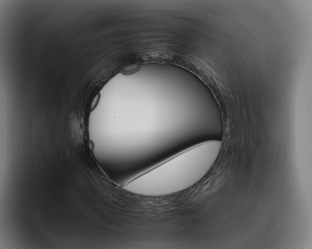 X0000093490915200710121010